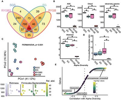 Roux-en-Y gastric bypass-induced perturbative changes in microbial communities and metabolic pathways in rats